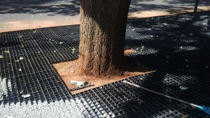 IMG_00000226