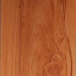 Oxford Cherry