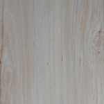 Regent Maple