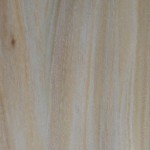Shale Oak