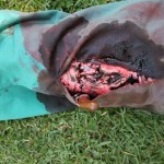 IMG-20160812-WA0005
