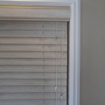 abcSAM_0300