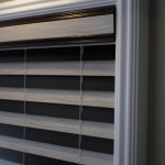abcSAM_0376 (2)