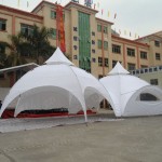 expo-dome-tent-spider-tent-exhibition-tent-beach-tent