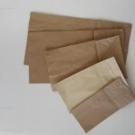DanapakBrown Bags 1
