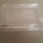 DanapakFood Container (2)