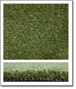 product10