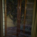 See-Thru-Security-Gallery (1)