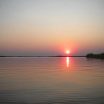 DSCN4223