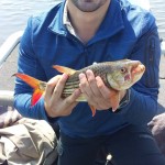 IMG-20180823-WA0034