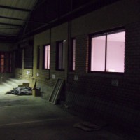 SDC11082