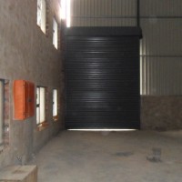 SDC11119