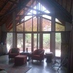 Window Tints