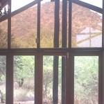 window tints