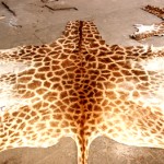 Giraffe Flat Skin