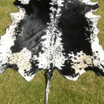 Nguni Skin