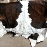 Nguni Skins