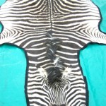 Zebra Skin with Black Rug Felting