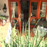 patio_7