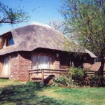 Mnandi