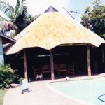 img081