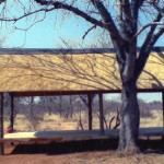 Thatch Roofs done at Lodge Swartwater