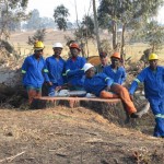 Vegetation Management (Bush clearing)