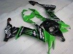 Kawasaki ZX 10R 08-09GreenMonster