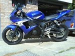 Yamaha R6 Blu & Whte
