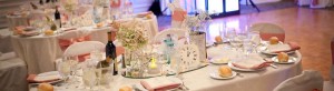 Party Arrangement Services