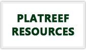 platreef-curr