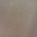 FTPTF605 SHINY   (C/W)