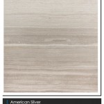 AMERICAN SILVER