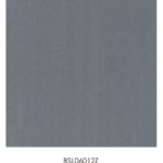 BSL06012Z    (KOT)