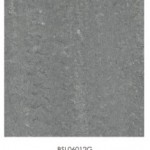 BSL06012G    (KOT)