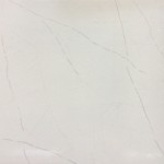 02085    SHINY   (PU)