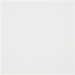 P6002N  WHITE (KOT)