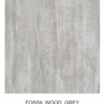 FOSSIL-WOOD -GREY    (KOT)
