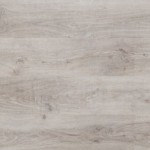 OAKLAND  LAUREL OAK    (S/C)