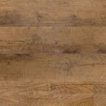 OAKLAND   SCARLET  OAK   (S/C)