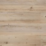 OAKLAND   SHUMARD   OAK   (S/C)