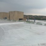 WP_000113