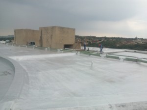 WP_000113