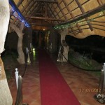 IMG_0220