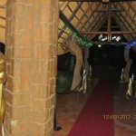 IMG_0257