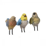Birds-Loose-(Extra-Sml)-2