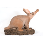 Aardvark-2