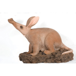 Aardvark-4