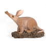 Aardvark