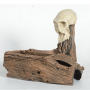 Skull-Hide-2